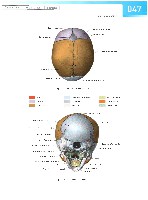 Sobotta Atlas of Human Anatomy  Head,Neck,Upper Limb Volume1 2006, page 54